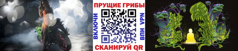 цены   Камышлов  Псилоцибиновые грибы мицелий 